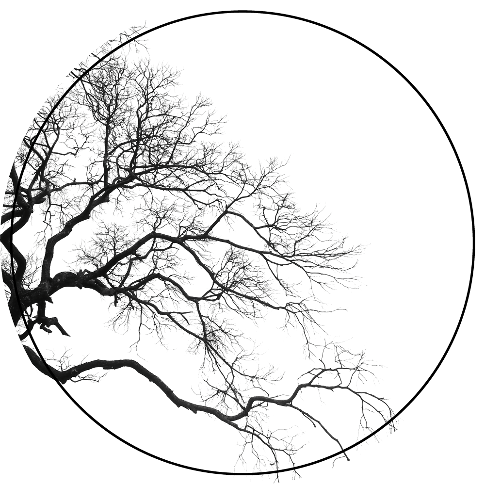 Tappeto vinile natura arte della sagoma del ramo - TenStickers