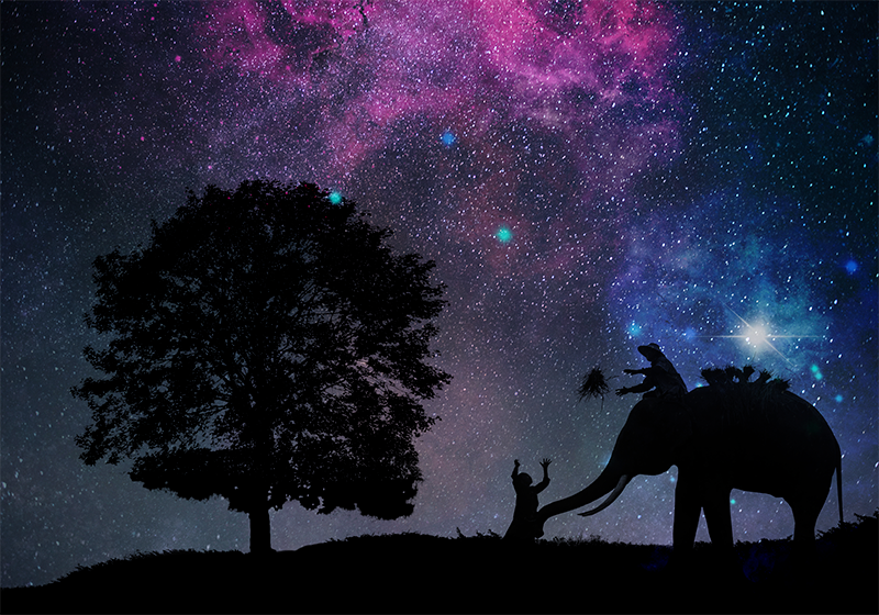 Tappeto vinile animali avventura cosmica dell'elefante - TenStickers