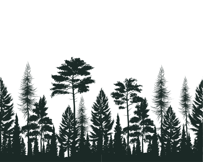 Tappeto vinile natura foresta - TenStickers