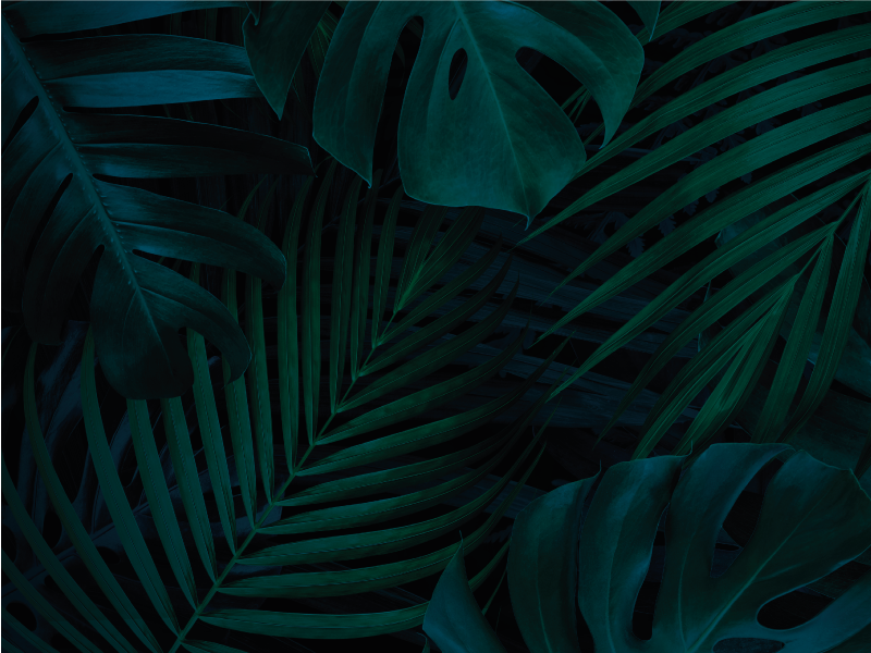 Tappeto vinile fiori foglie e piante della foresta - TenStickers