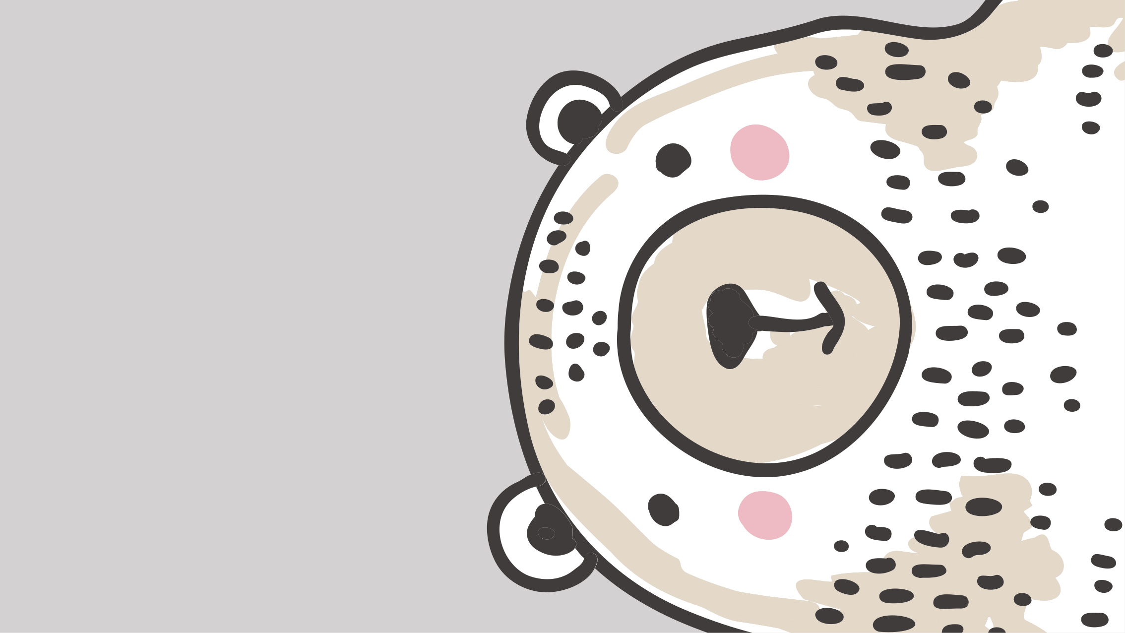 Tappeto vinile bebé forma del viso dell'orso - TenStickers