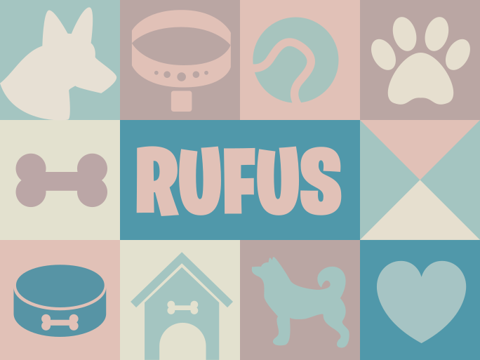 Tappeto in vinile con nome cane personalizzato - TenStickers