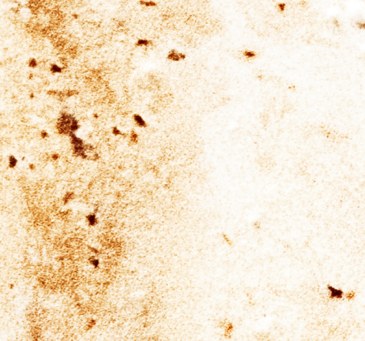 Carta da parati effetto marmo estetica della pietra naturale - TenStickers