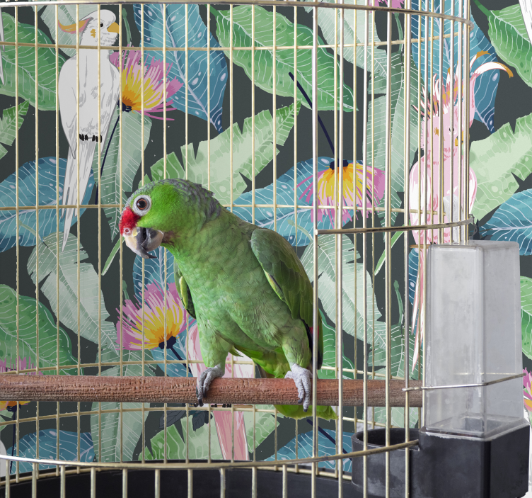 Carta da parati pappagallo e foglie tropicali - TenStickers