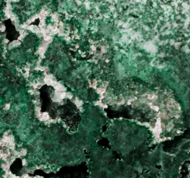 Carta da parati effetto marmo texture verde lussureggiante - TenStickers